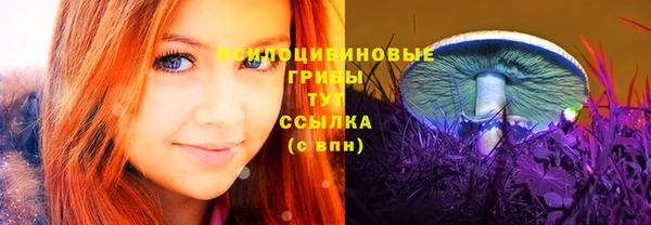 тгк Краснотурьинск
