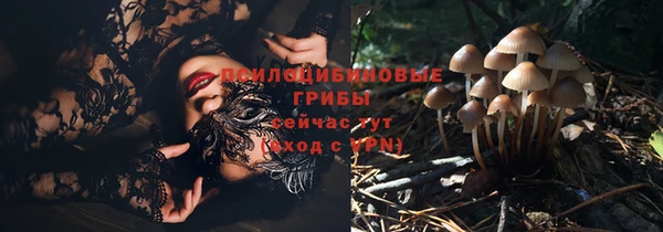 хмурый Балашиха