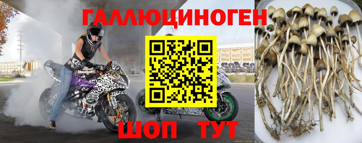 Псилоцибиновые грибы MAGIC MUSHROOMS Подольск